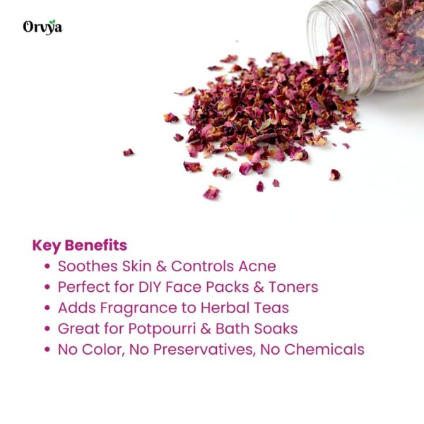 Orvya Dried Rose Petals, 100% Pure Natural Sun-Dried, for Skin Care, Hair Masks, Herbal Tea - Image 2